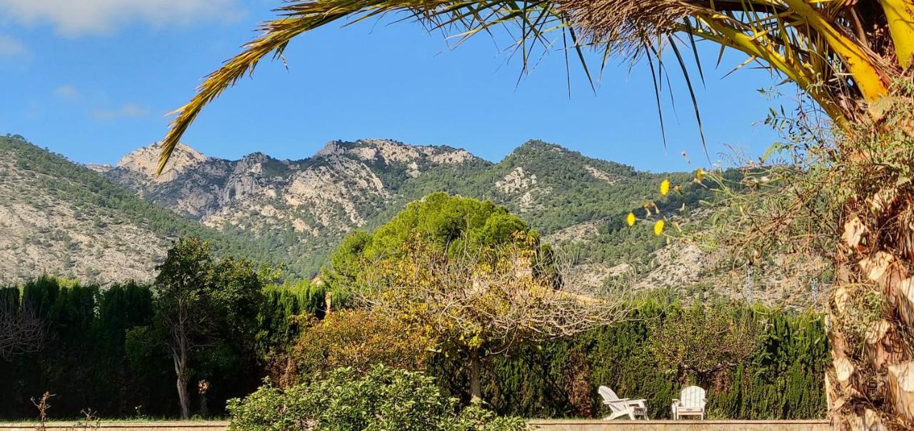 Casa De Los Lirios 무로데알코이 외부 사진